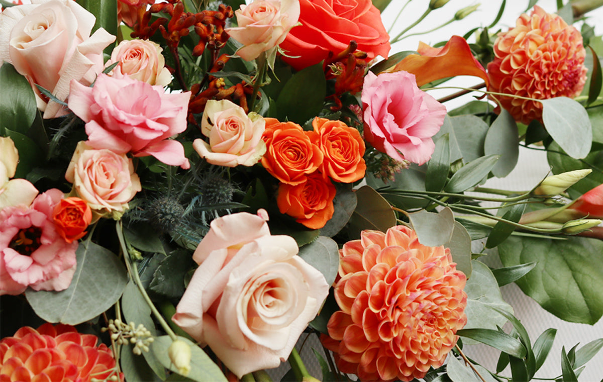 Fall Collection Flowers & Gifts Same day Delivery Toronto Flower