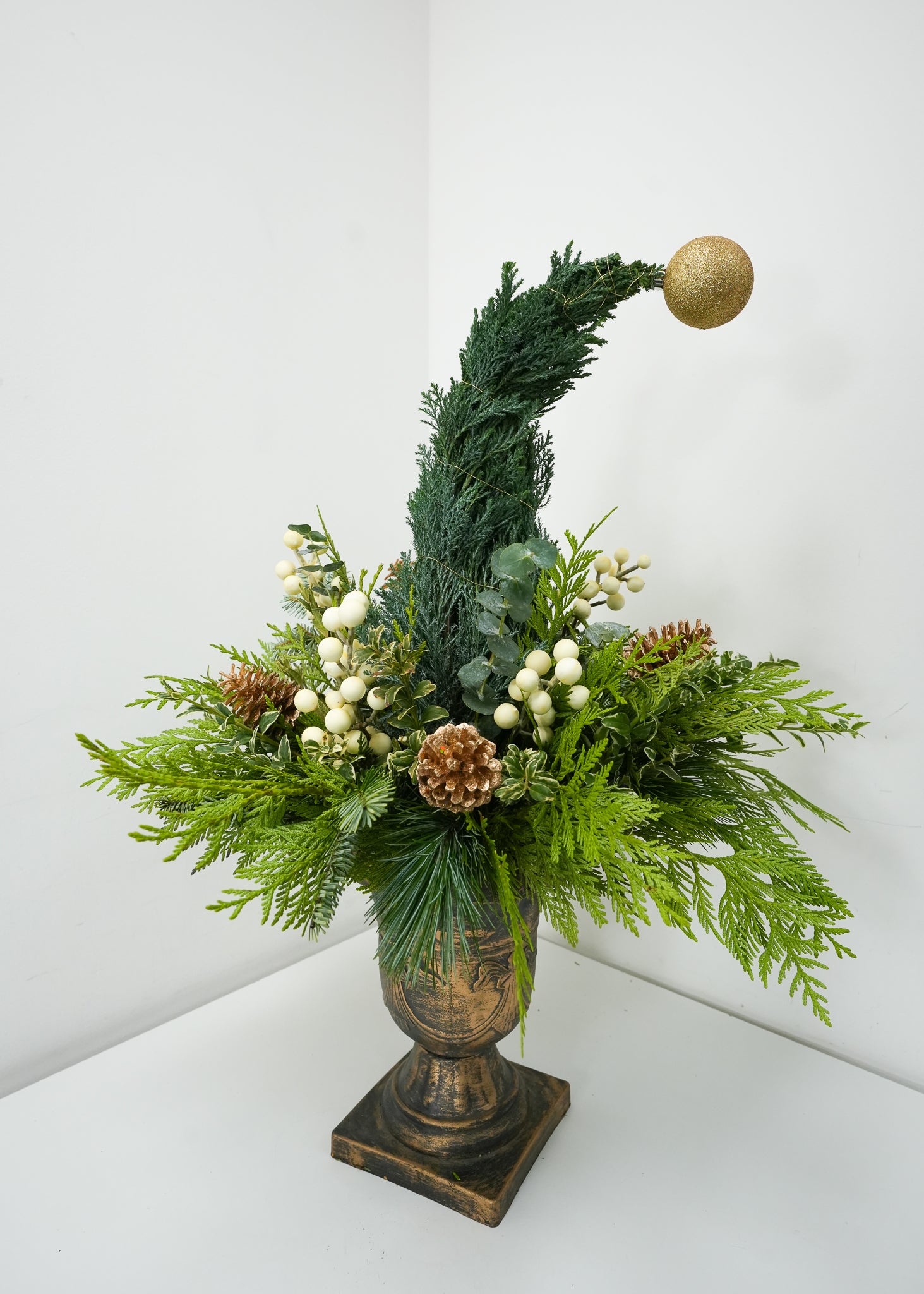 The Grinch Flower & Plant Free Delivery Toronto Flower Shop