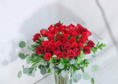 50 Premium Red Roses 70CM