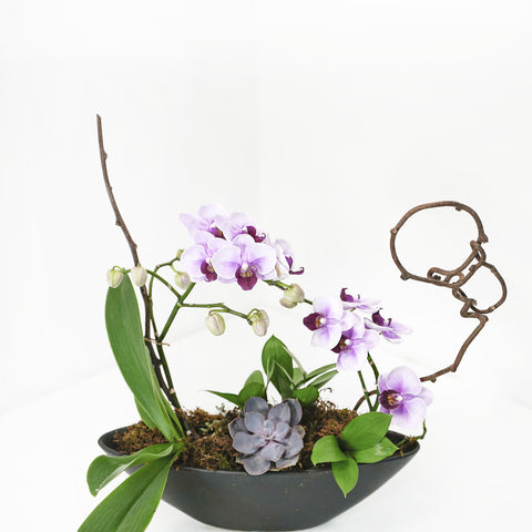 Small Pink Orchid Arrangement