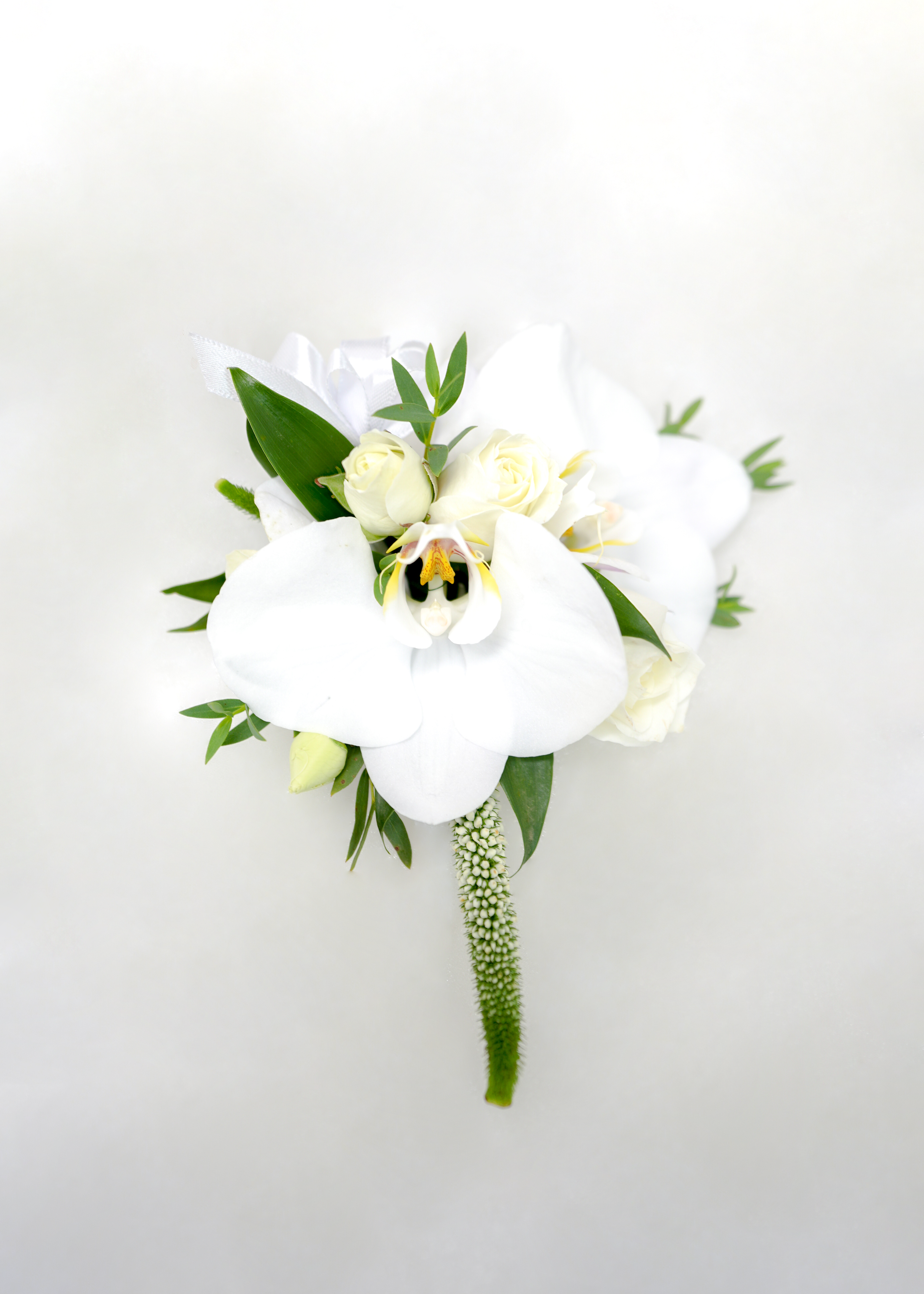 White Orchid Corsage