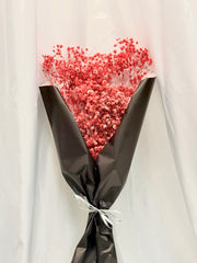 Preserved Baby's Breath (Red)