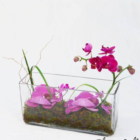 Orchid Design Arrangement