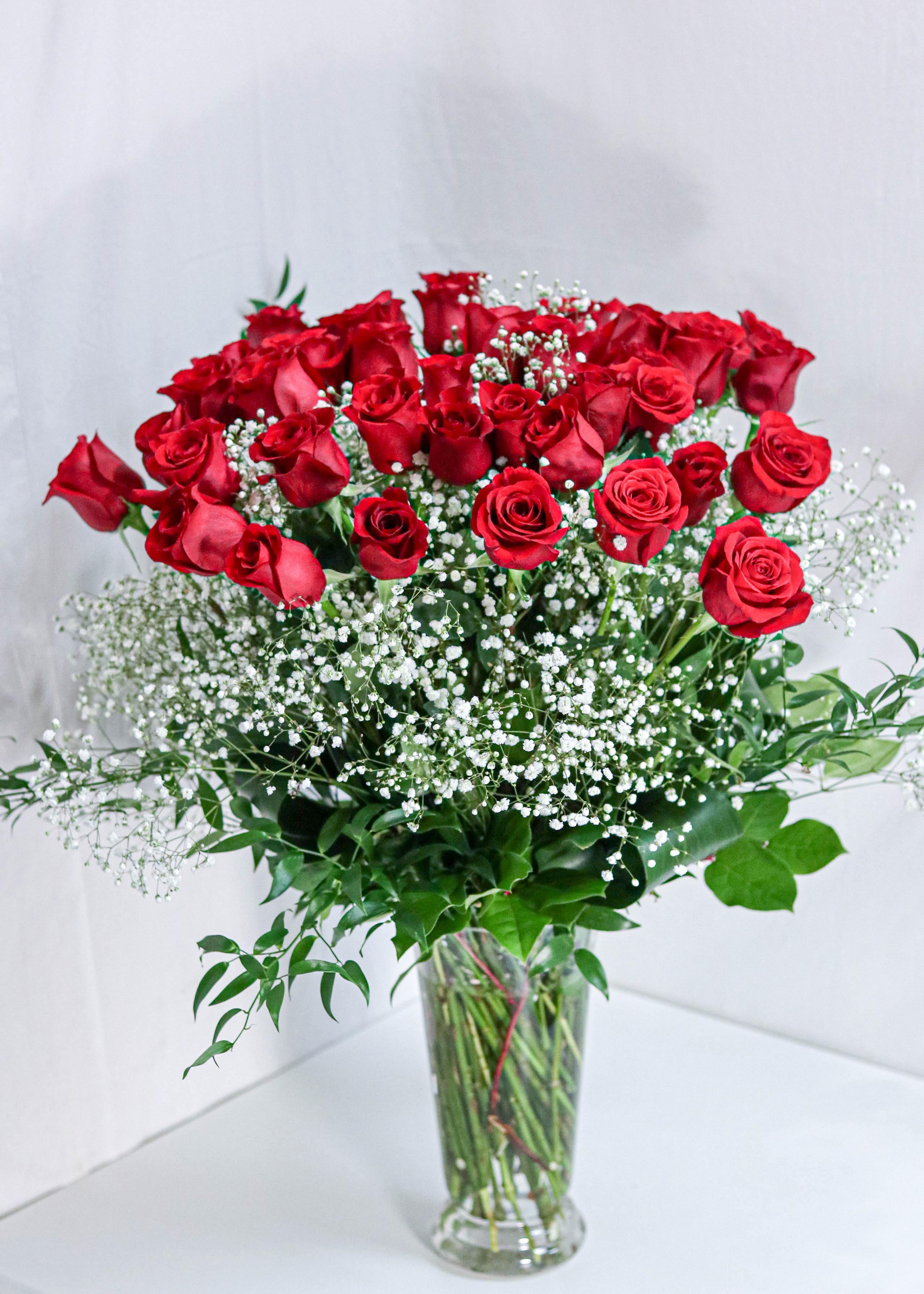 36 Red Roses with Baby Breath - Toronto Flower Gallery