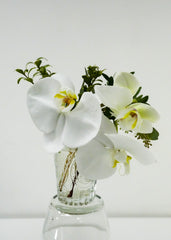 Mini Orchid Arrangement in a Vase
