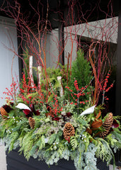 Holiday Miracles Arrangement