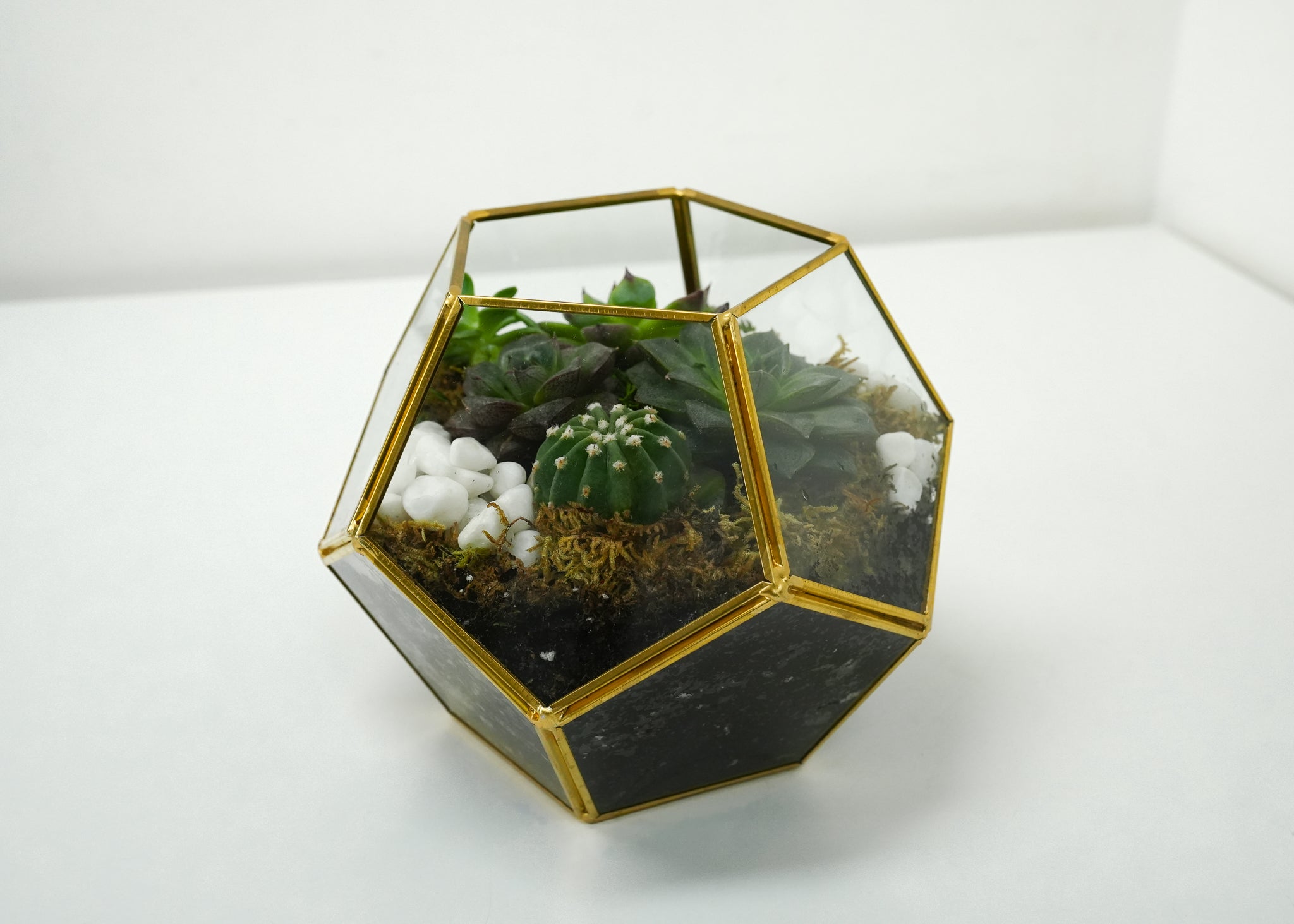 Succulent Terrarium Flower & Plant Free Delivery Toronto Flower