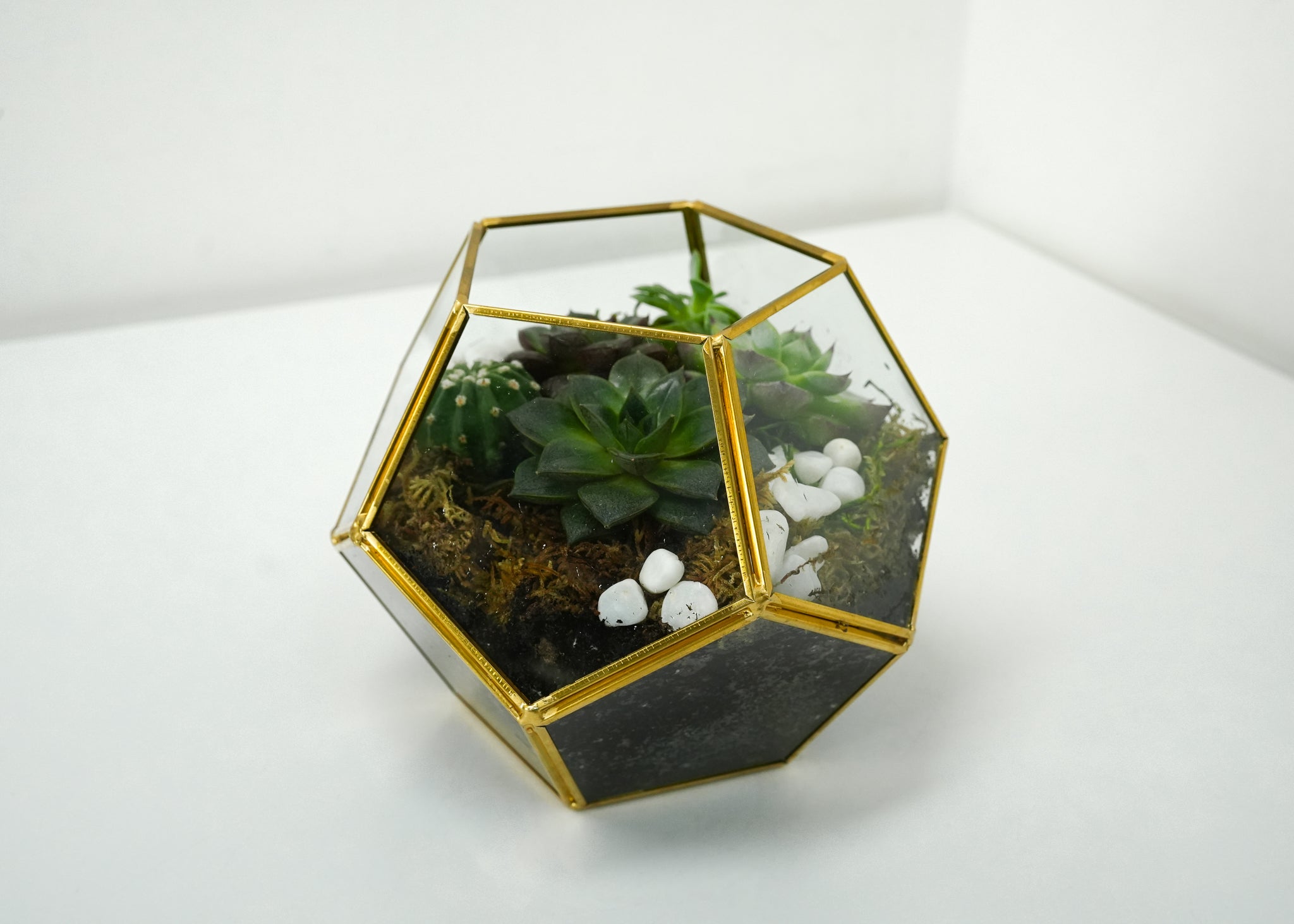 Succulent Terrarium Flower & Plant Free Delivery Toronto Flower