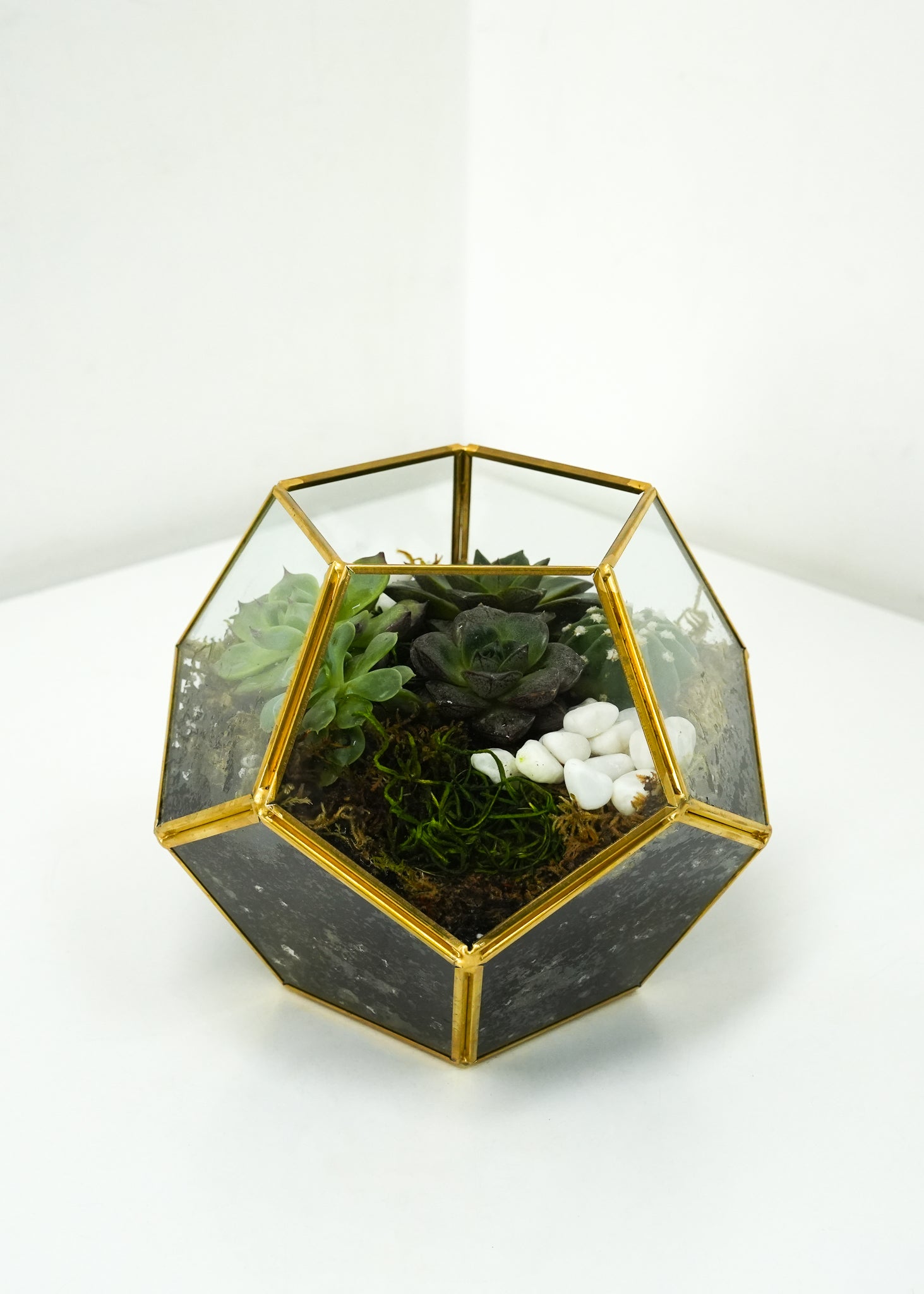 Succulent Terrarium Flower & Plant Free Delivery Toronto Flower