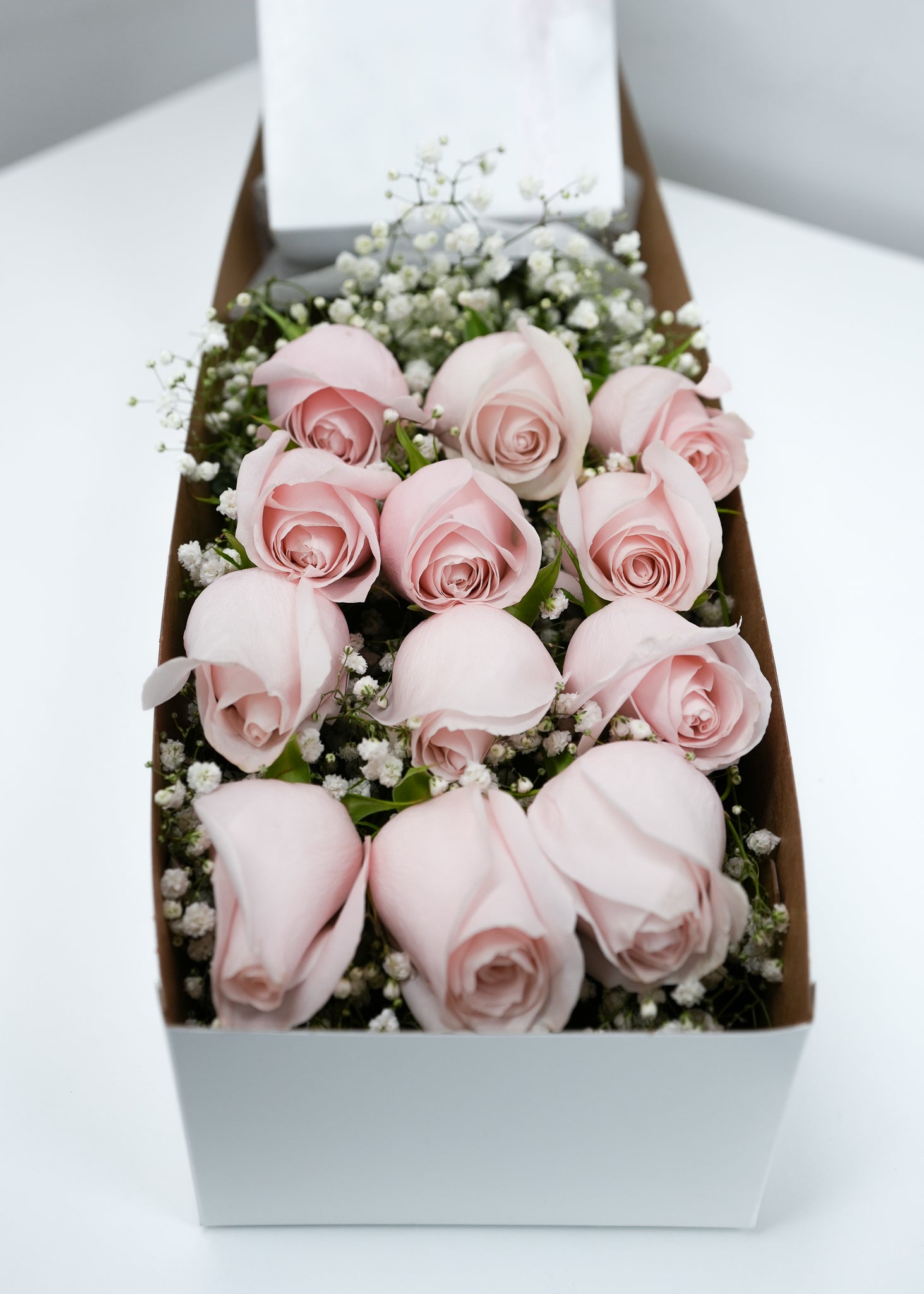 [VD] 12 Light Pink Rose Box