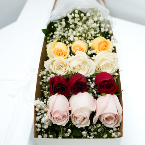 [VD] 12 Assorted Rose Box