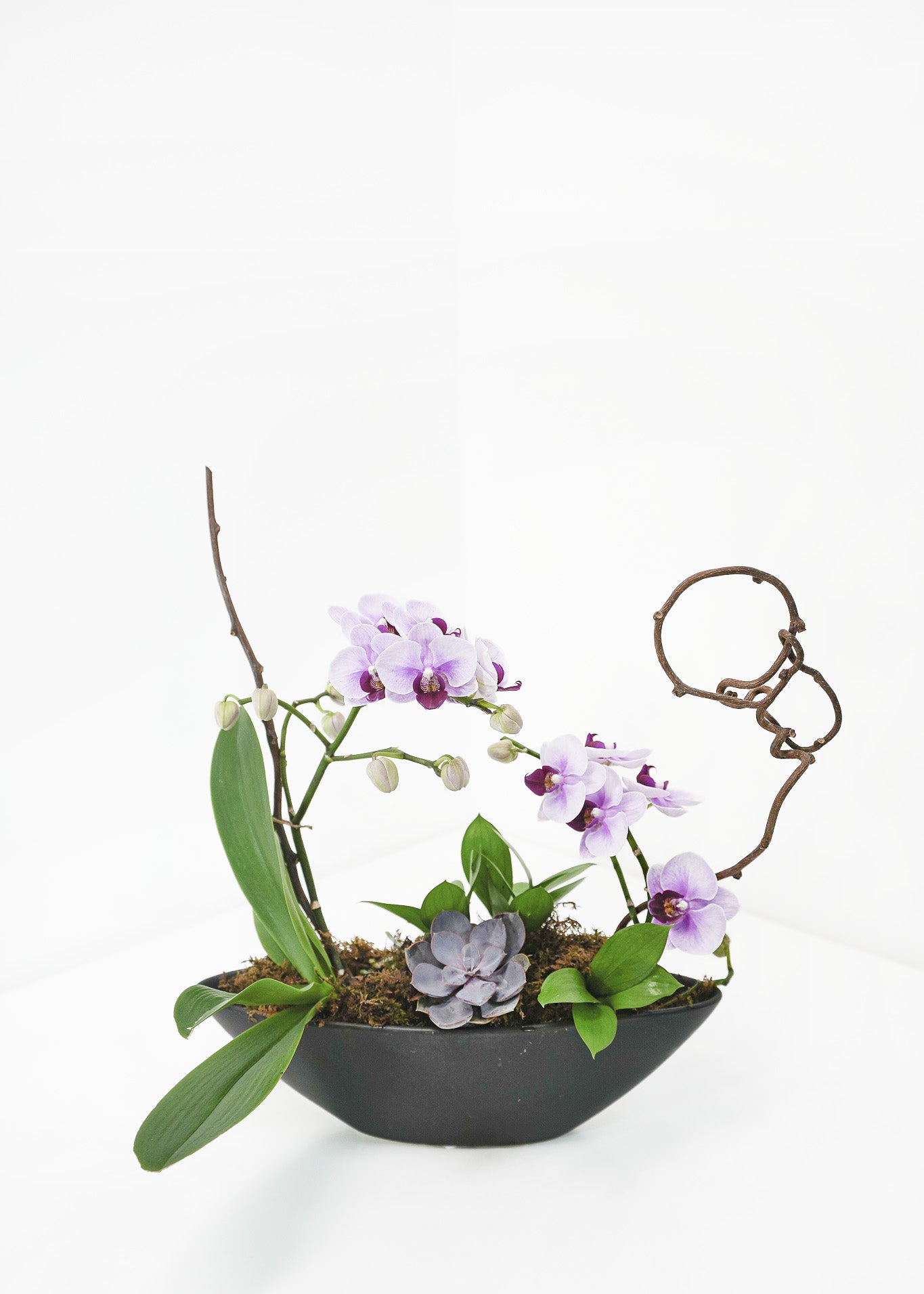 Small Pink Orchid Arrangement