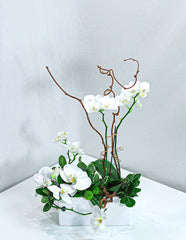 Love White Orchid Arrangement