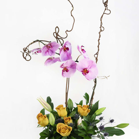 Elegant Orchid Arrangement