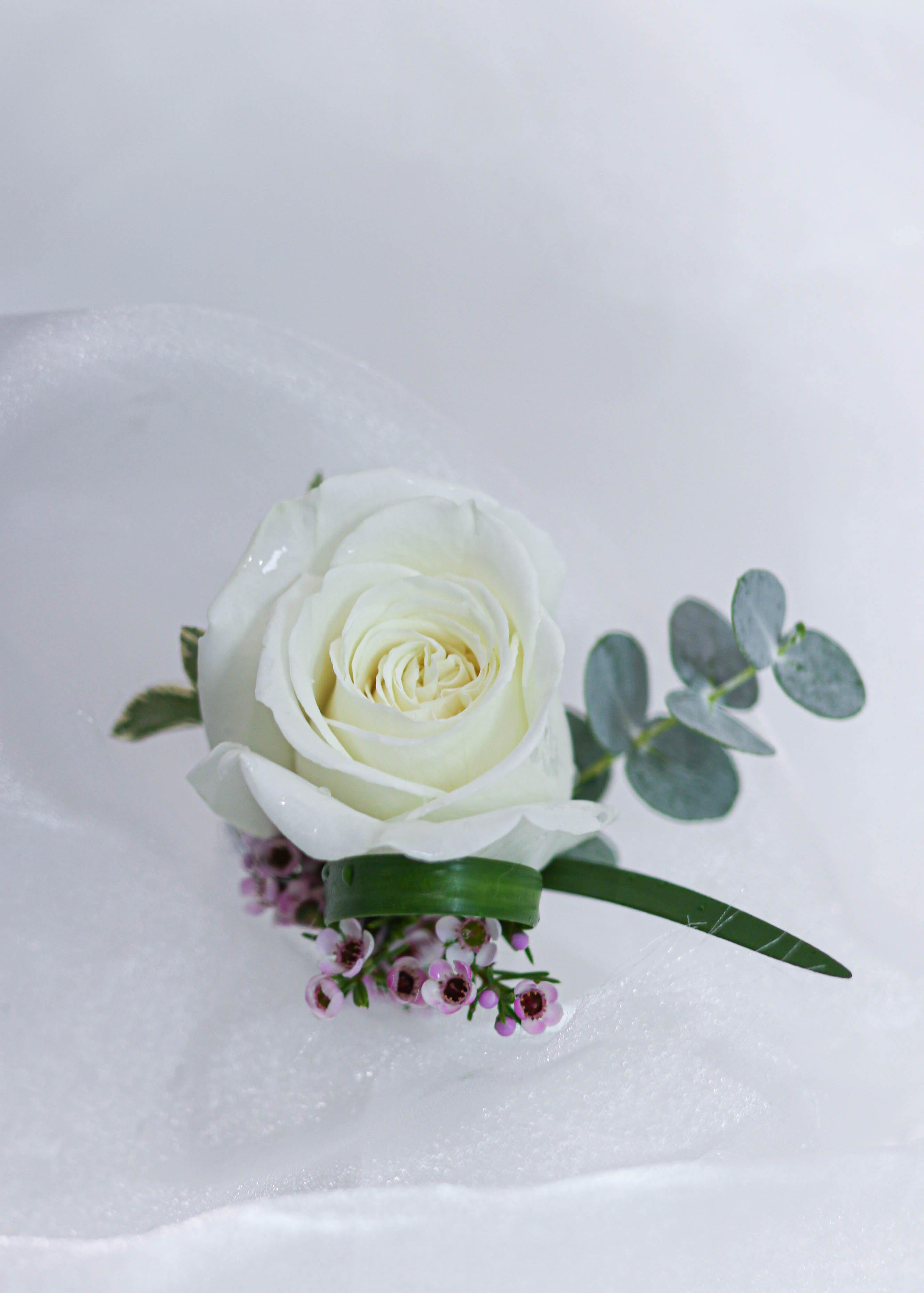 White Rose Boutonniere - Toronto Flower Gallery