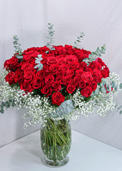 100 Premium Red Roses - Toronto Flower Gallery