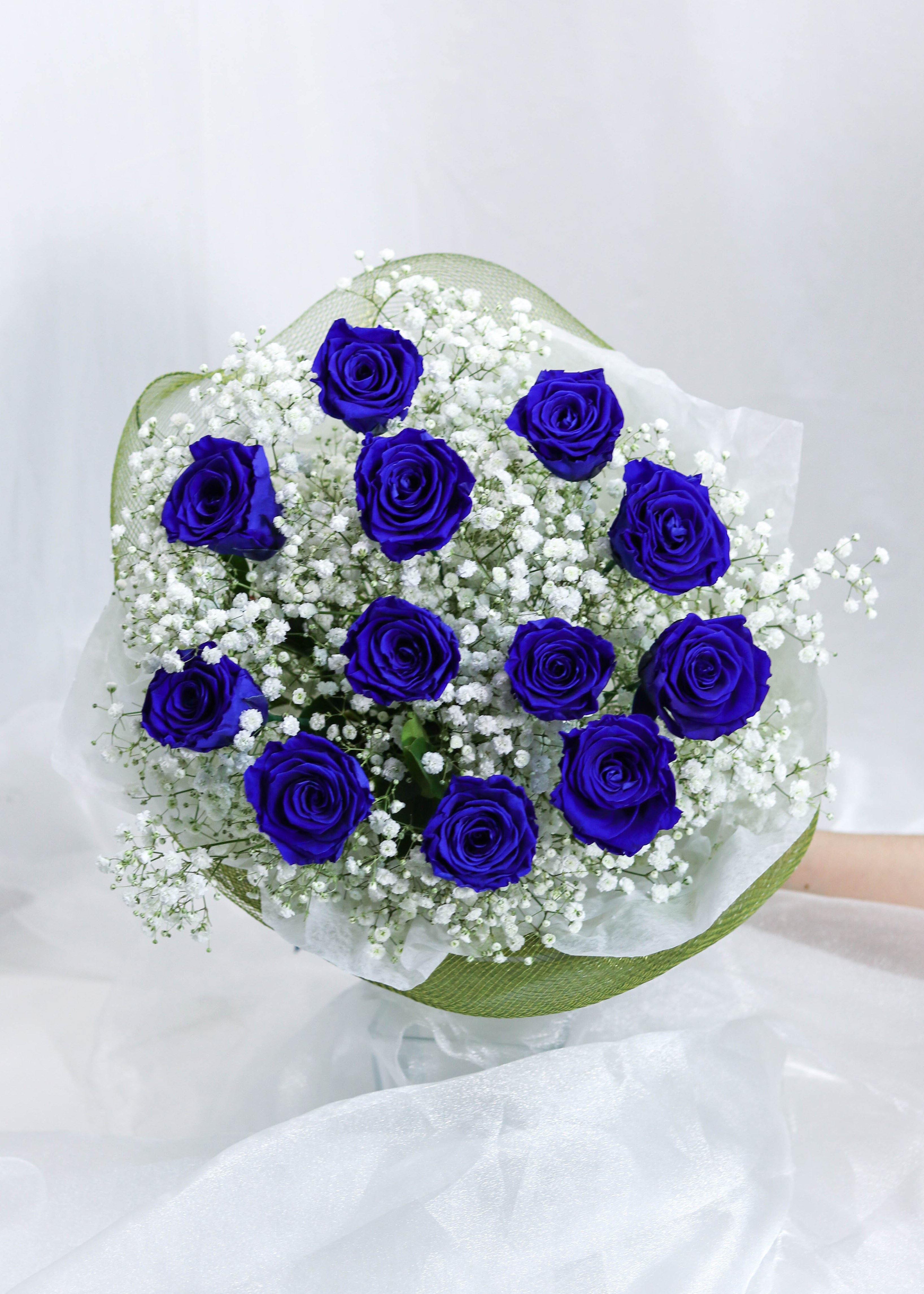 Blue Preserved Roses - Toronto Flower Gallery