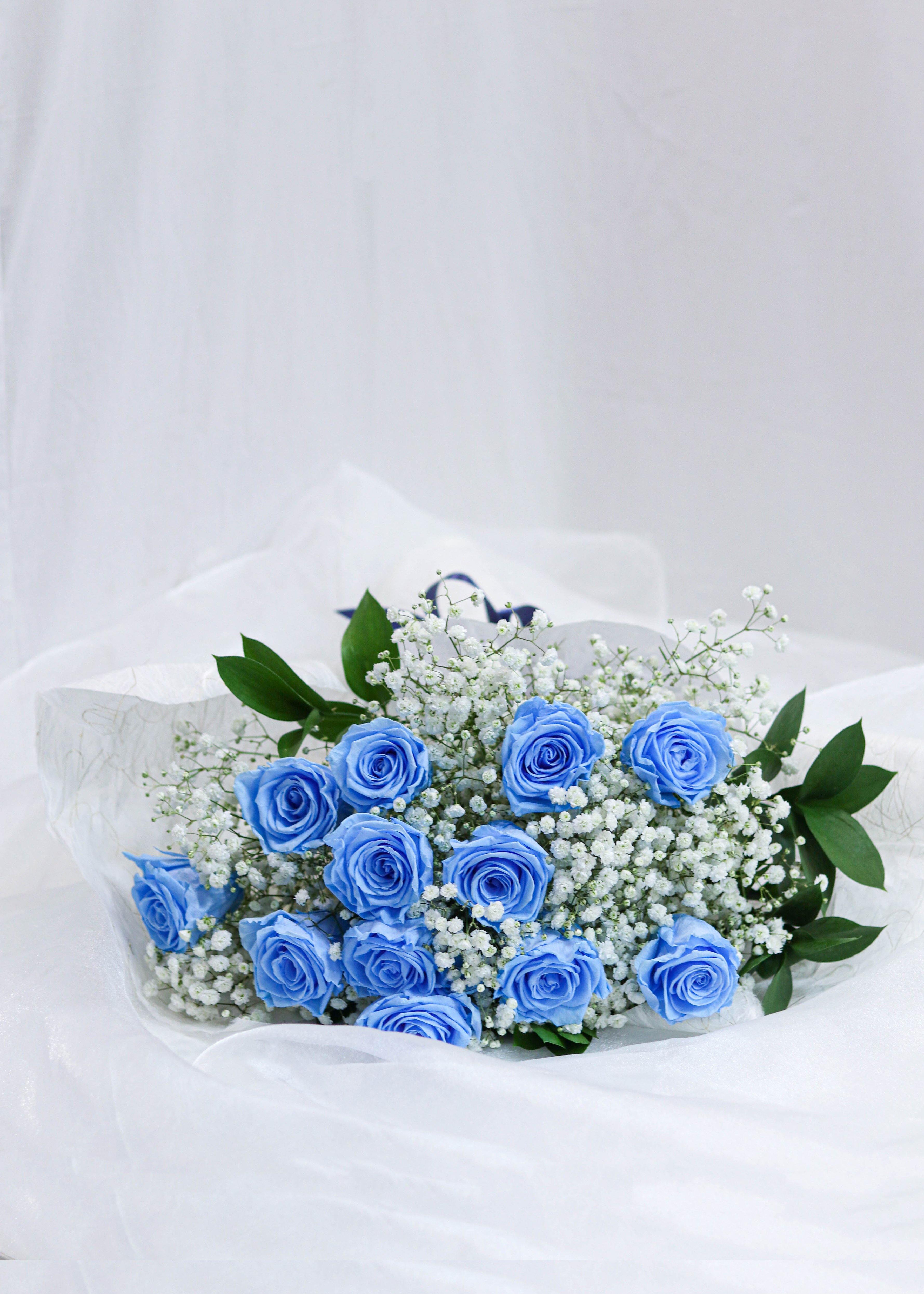 Cinderella Blue Preserved Roses - Flower - Toronto Flower Gallery