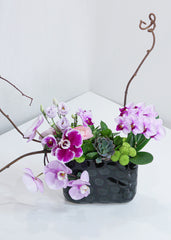 Orchid Garden Arrangement