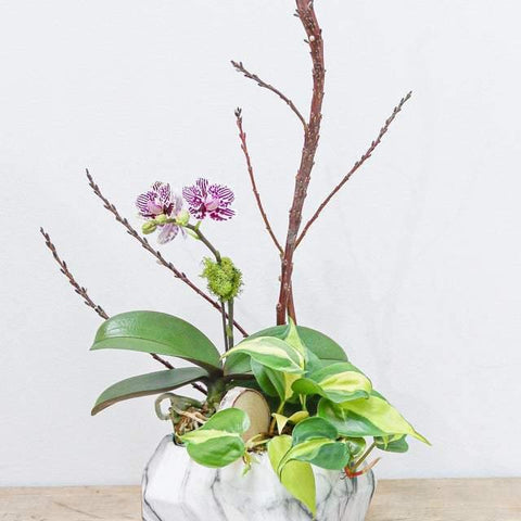 Little Purple Orchid Arrangement