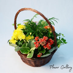 Flower Garden Basket - Plant - Toronto Flower Gallery