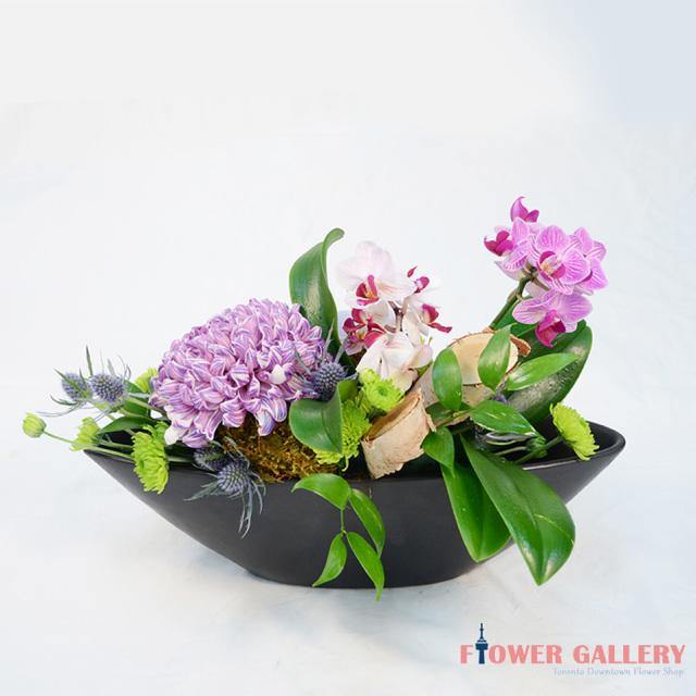 Garden Secrets - Plant - Toronto Flower Gallery