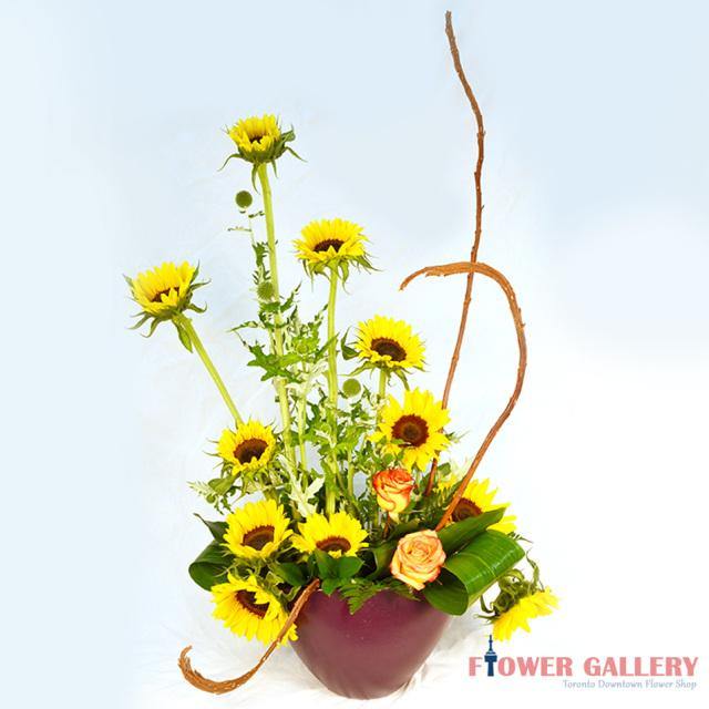 Sunflower Garden Arrangement - Flower - Toronto Flower Gallery