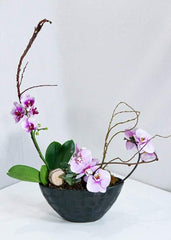 Pink Orchid Arrangement - Orchid - Toronto Flower Gallery