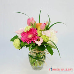 Refreshing Your Day - Flower - Toronto Flower Gallery