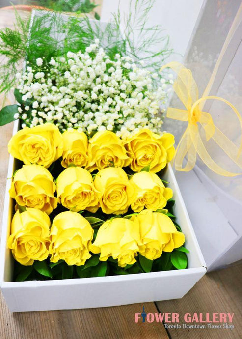 12 YELLOW ROSES IN A BOX - Toronto Flower Gallery