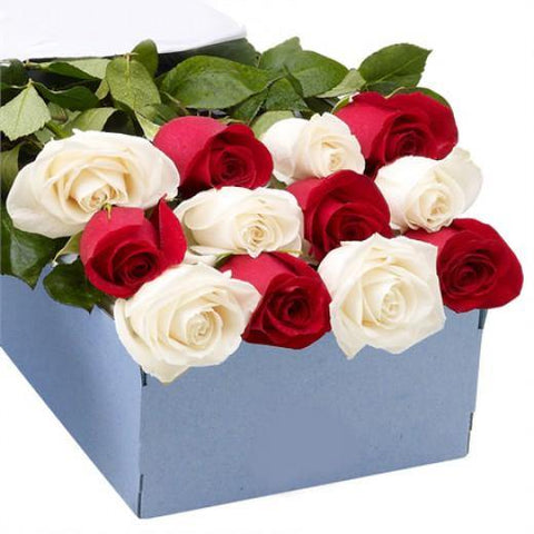 12 Red & White Rose Box