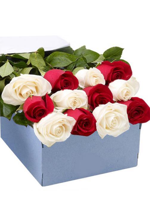12 Red & White Roses in a Box - Toronto Flower Gallery