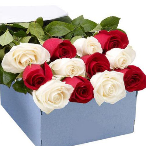 12 Red & White Rose Box