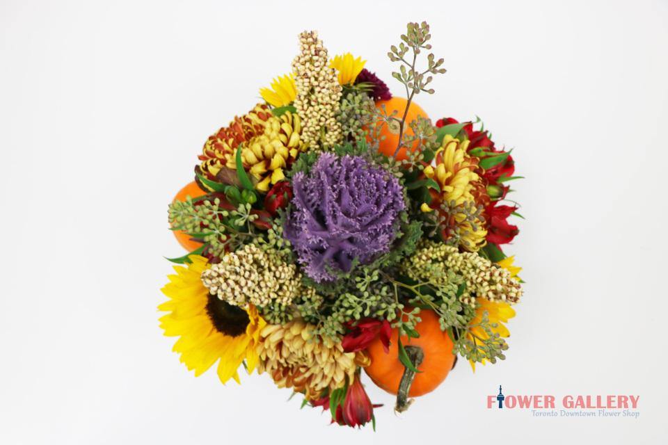 Harvest Moment - Flower - Toronto Flower Gallery