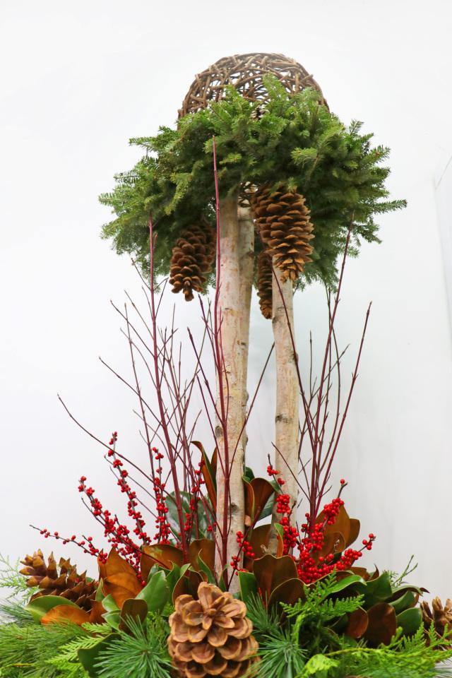 Meet Me Under the Mistletoe - Plant - Toronto Flower Gallery