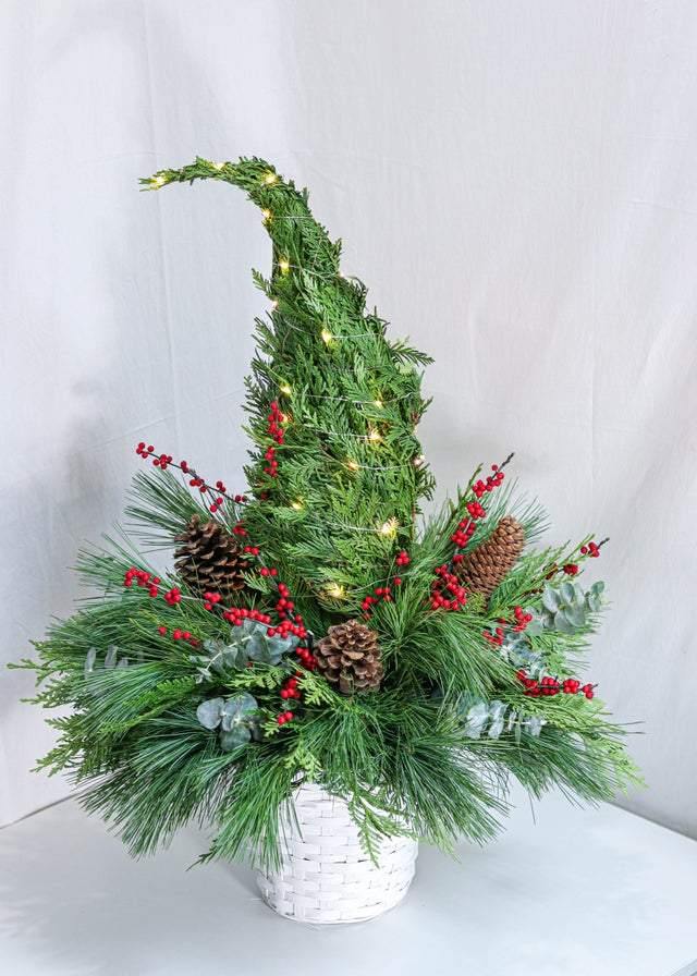 Under the Christmas Tree - Plant - Toronto Flower Gallery