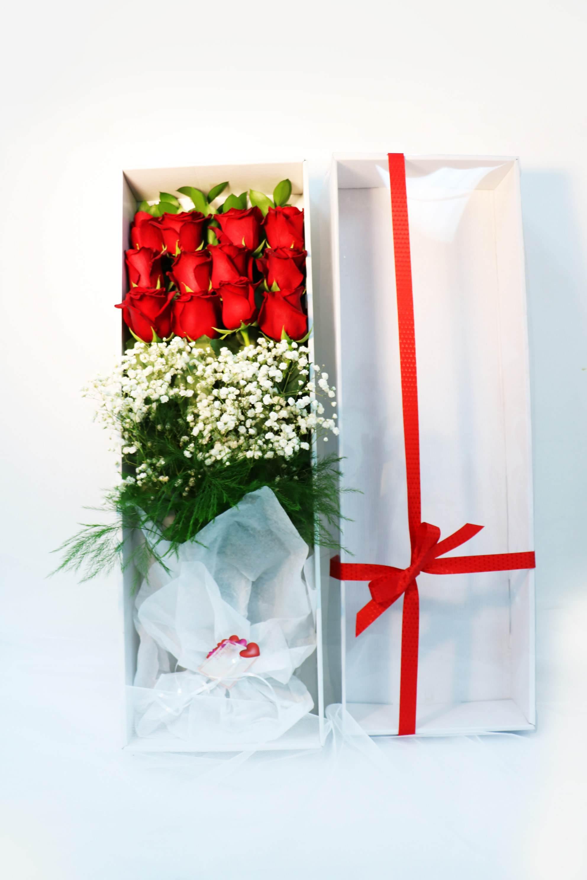 12 Red Roses & Baby's Breath In A Box - Toronto Flower Gallery