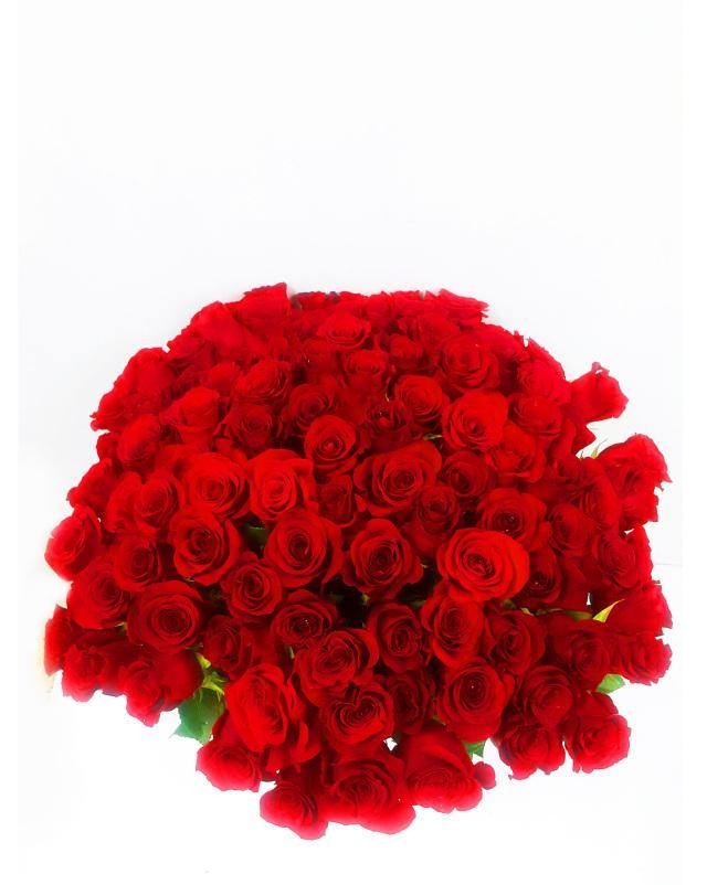100 Premium Red Roses - Toronto Flower Gallery