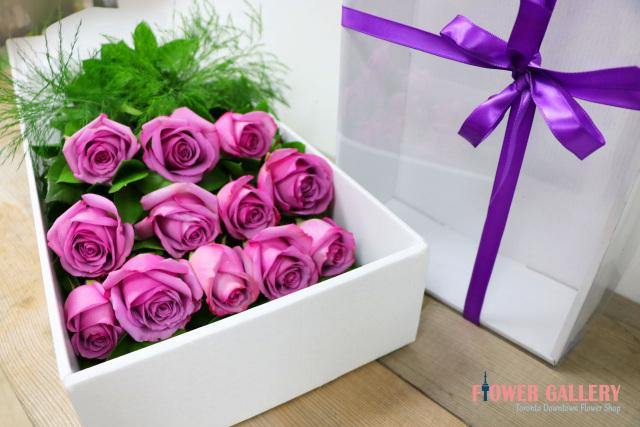 12 Purple Roses In A Box