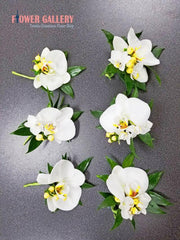 Orchid Boutonniere - Toronto Flower Gallery