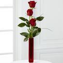 Red Rose in a Red Vase - Flower - Toronto Flower Gallery