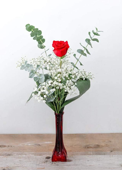 Red Rose in a Red Vase - Flower - Toronto Flower Gallery