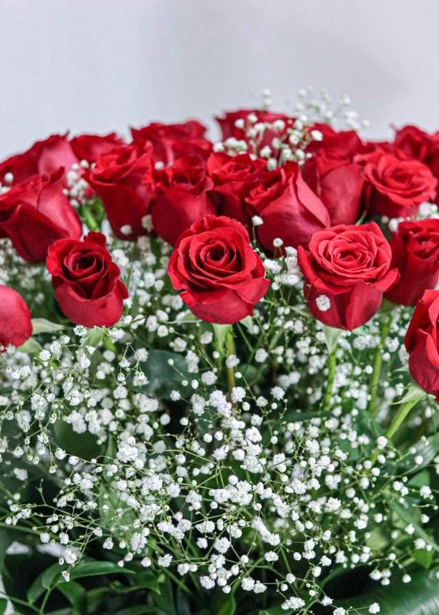 36 Red Roses with Baby Breath - Toronto Flower Gallery