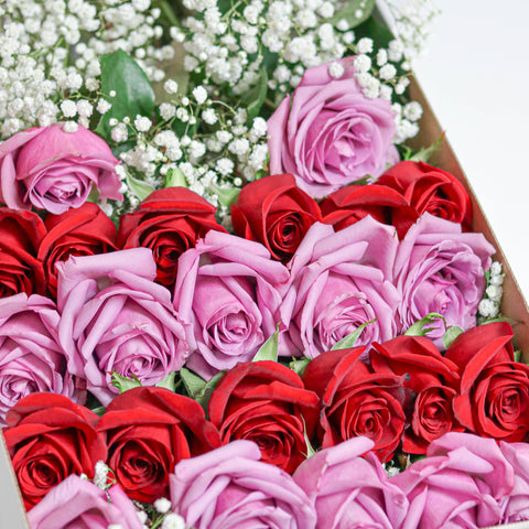 24 Lavender & Red Rose Box