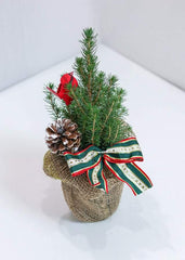 Christmas Tree with Bird - Toronto Flower Gallery