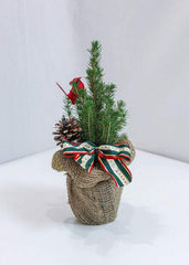 Christmas Tree with Bird - Toronto Flower Gallery