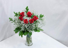 6 Premium Red Roses with Baby's Breath - Toronto Flower Gallery