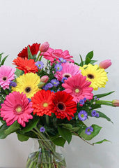 Gerbera Daisy Bouquet - Toronto Flower Gallery